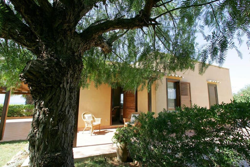 Villa Levante Vista Mare Cornino Custonaci Exteriér fotografie
